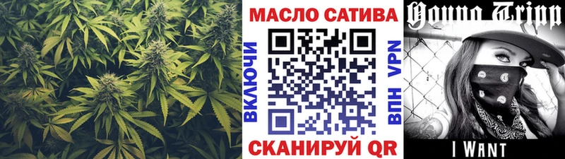 Купить где  Ленинск  ТГК THC oil 