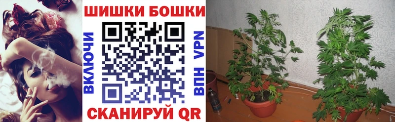 Купить где  Ленинск  Каннабис SATIVA & INDICA 